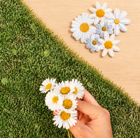 Embroidered daisy patches on a wooden table beside real daisies held in a hand over grass